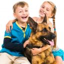 Proč si pořídit psa