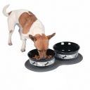 Kvalitní krmivo pro psa