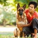 Psí elektron. ohradníky