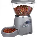 Bílkoviny v krmivech