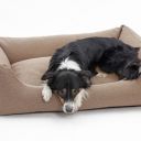 Jak vybrat psí pelech