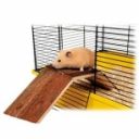 Pískomil tlustoocasý